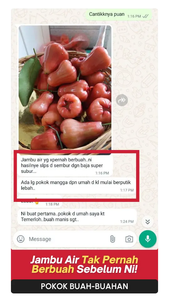 Testimoni Buah (2)