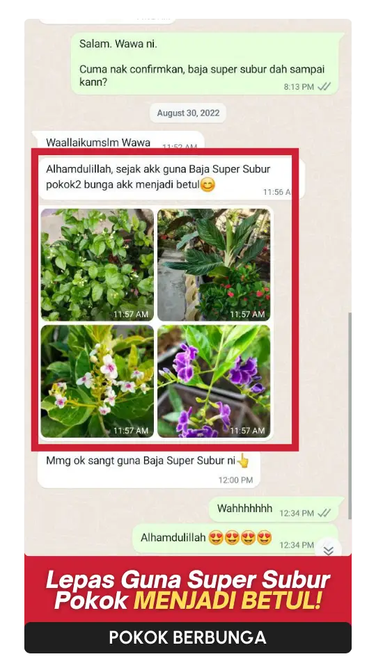 Testimoni Bunga (4)