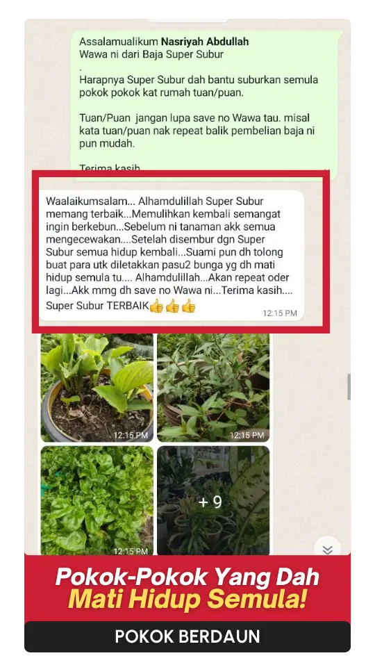 Testimoni Daun (2)