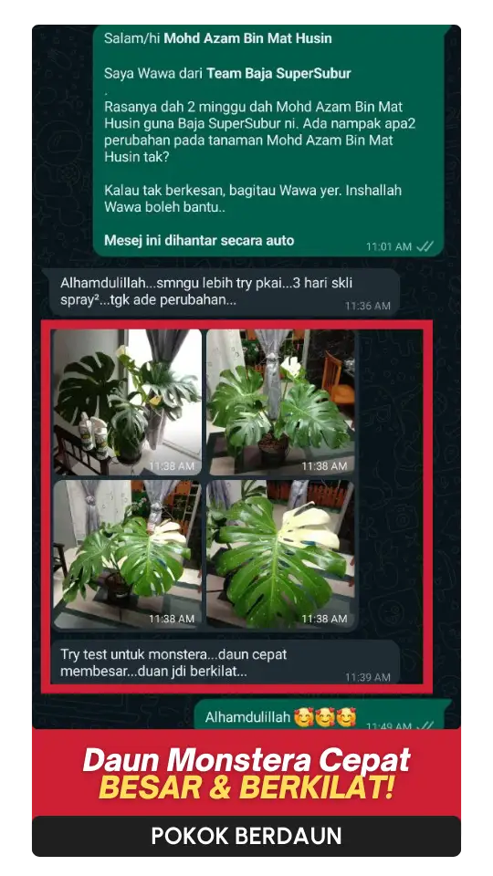 Testimoni Daun (3)