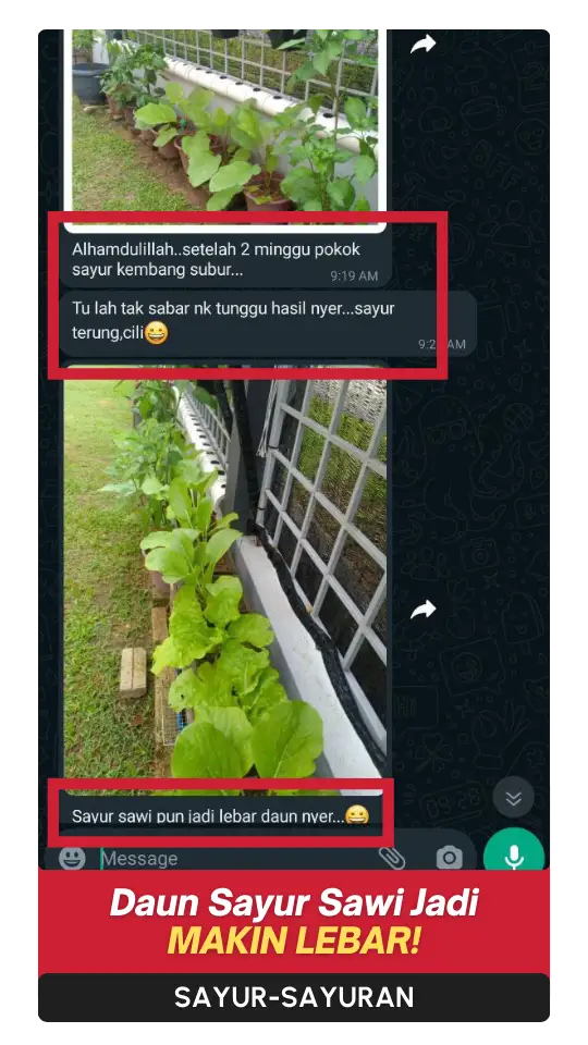 Testimoni Sayur (1)