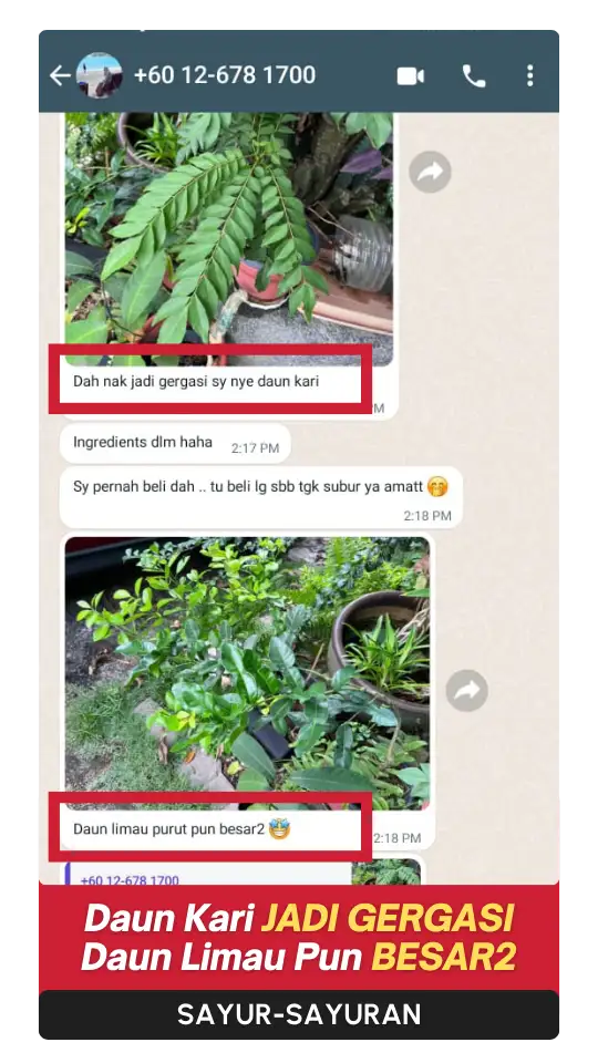 Testimoni Sayur (2)