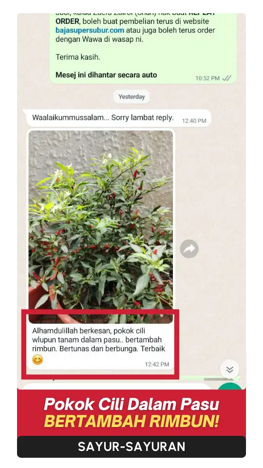 Testimoni Sayur (4)